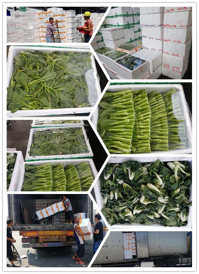 Z6���������ǲ�(�й���)���޹�˾����