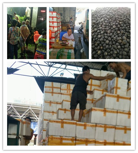 Z6���������ǲ�(�й���)���޹�˾����