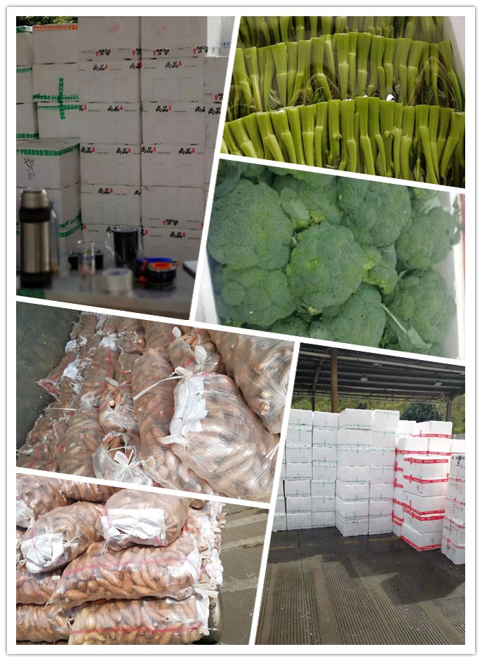 Z6���������ǲ�(�й���)���޹�˾����