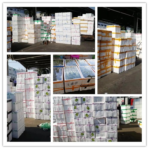 Z6���������ǲ�(�й���)���޹�˾����