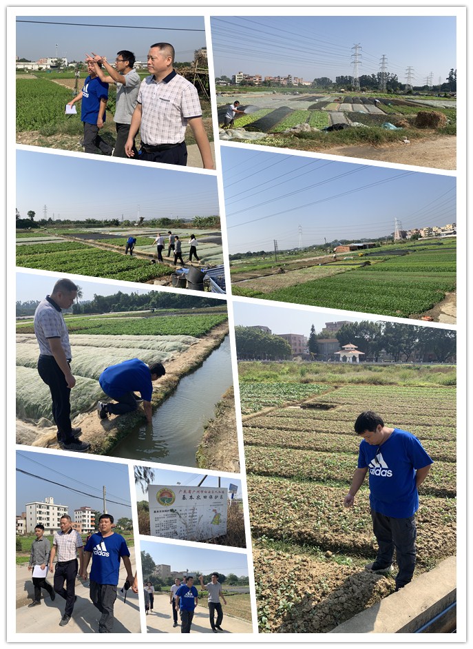 Z6���������ǲ�(�й���)���޹�˾����