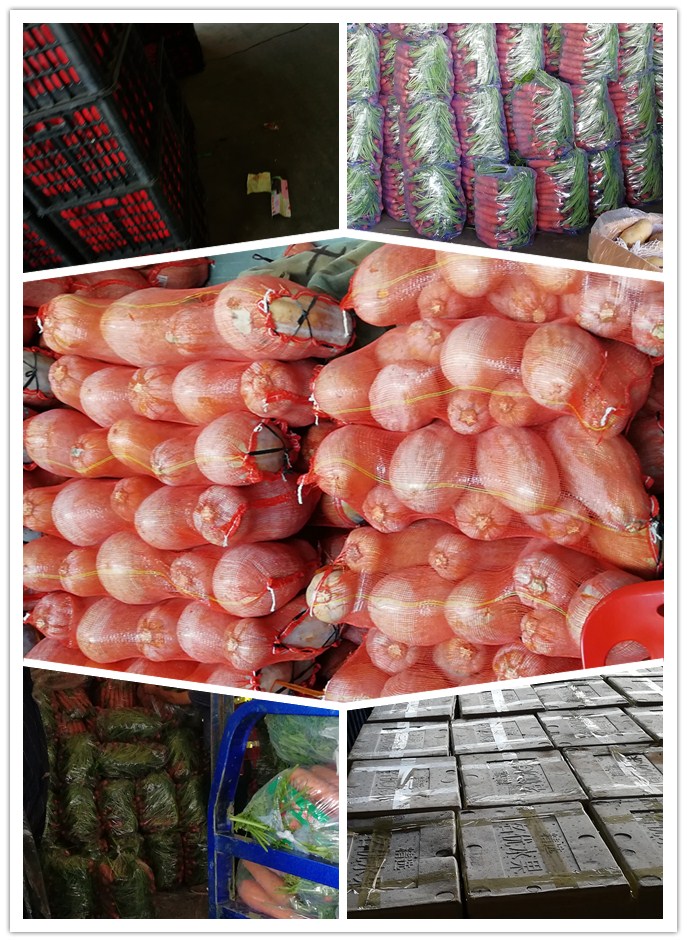 Z6���������ǲ�(�й���)���޹�˾����