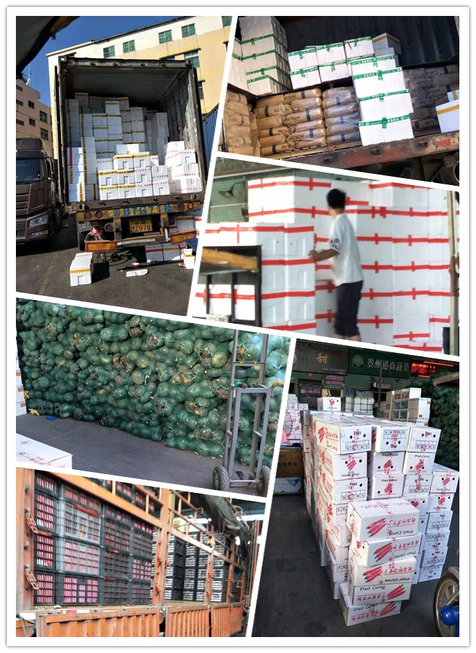 Z6���������ǲ�(�й���)���޹�˾����