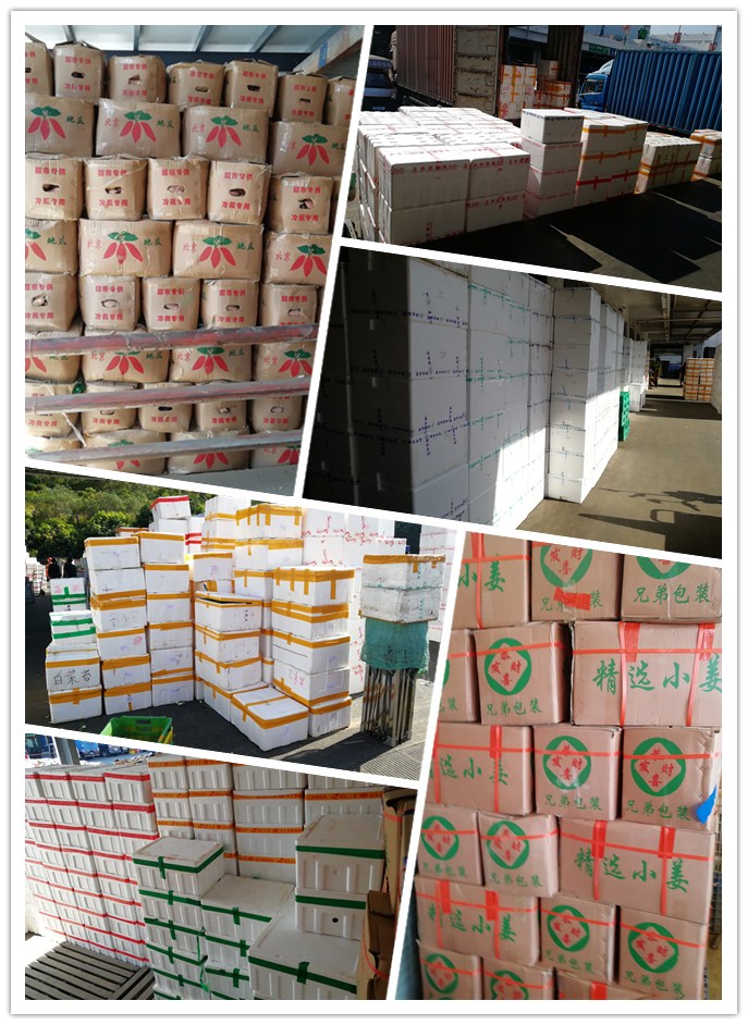 Z6���������ǲ�(�й���)���޹�˾����