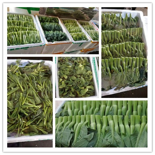 Z6���������ǲ�(�й���)���޹�˾����