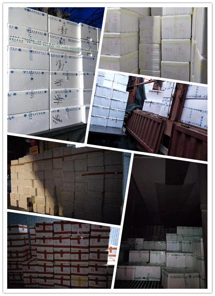 Z6���������ǲ�(�й���)���޹�˾����