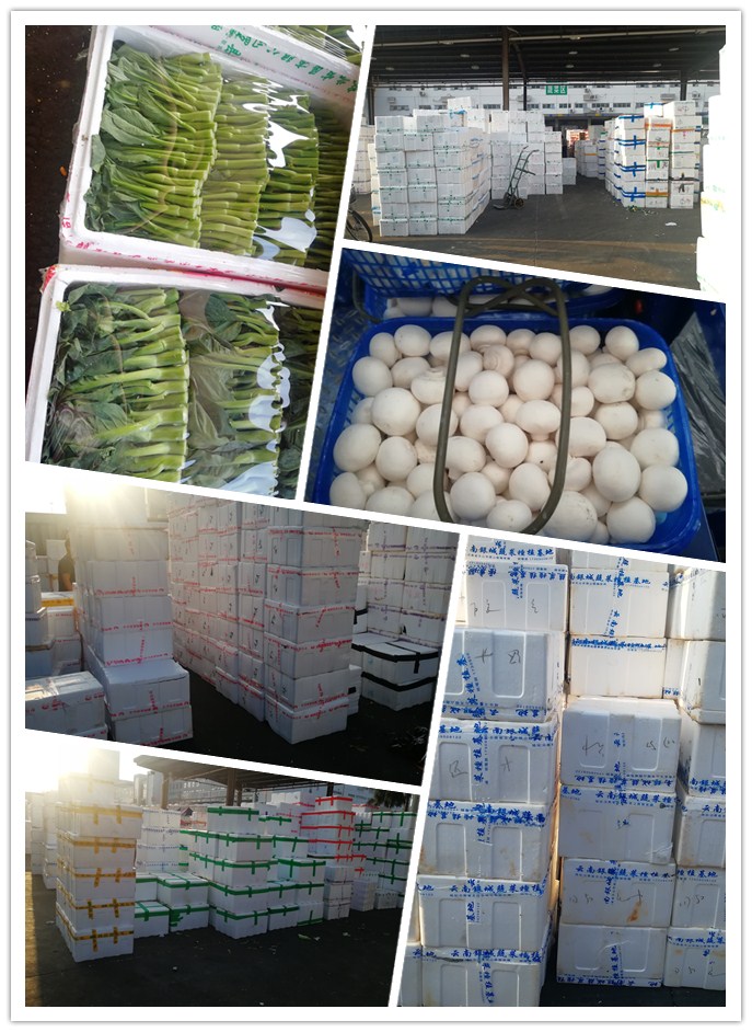 Z6���������ǲ�(�й���)���޹�˾����