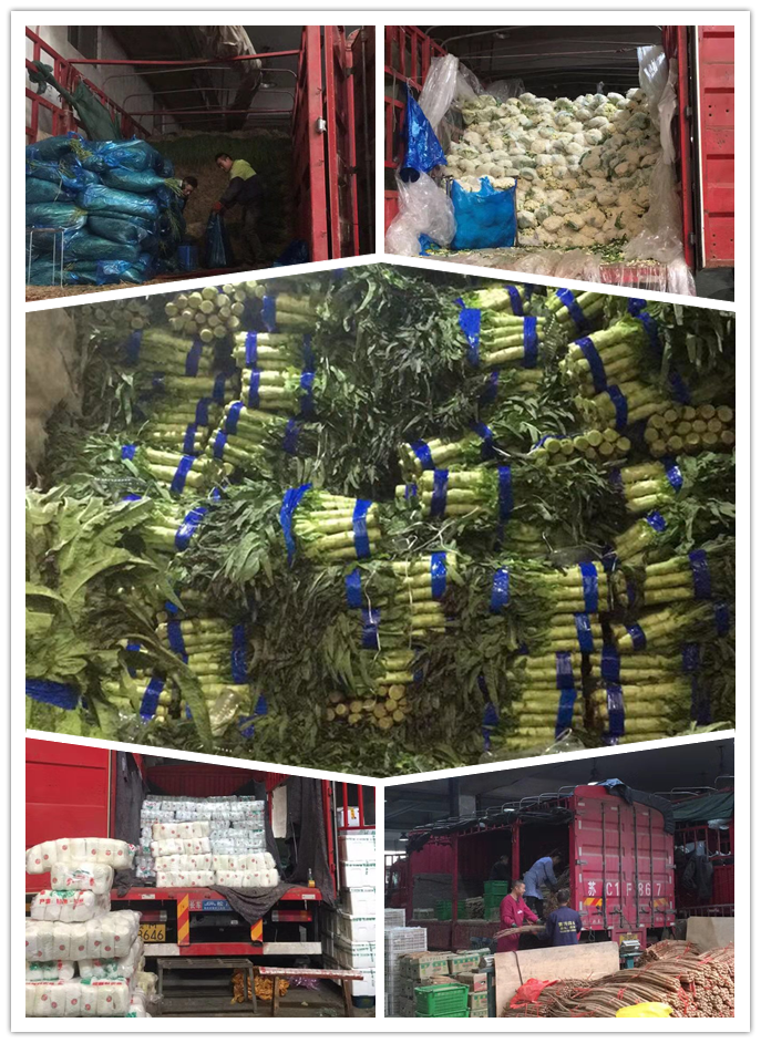 Z6���������ǲ�(�й���)���޹�˾����