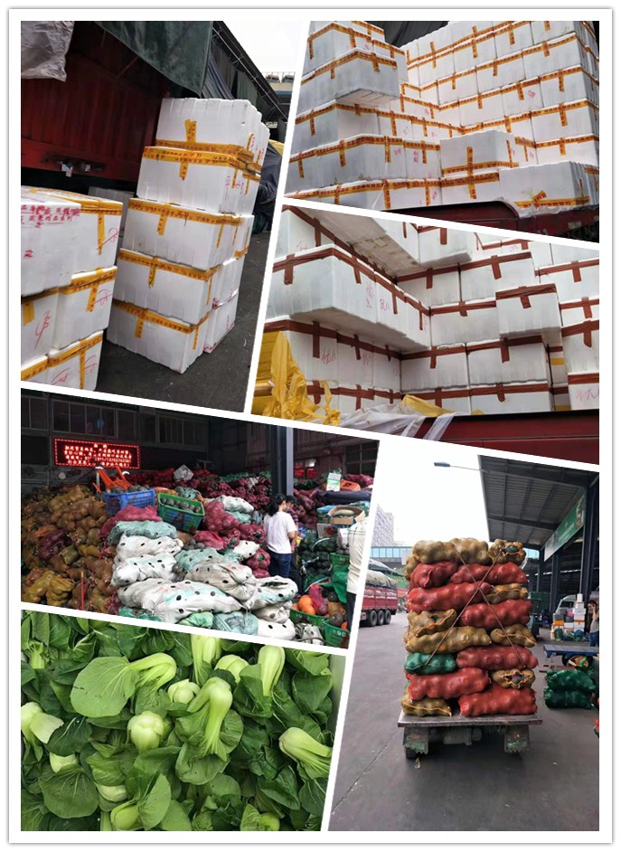 Z6���������ǲ�(�й���)���޹�˾����