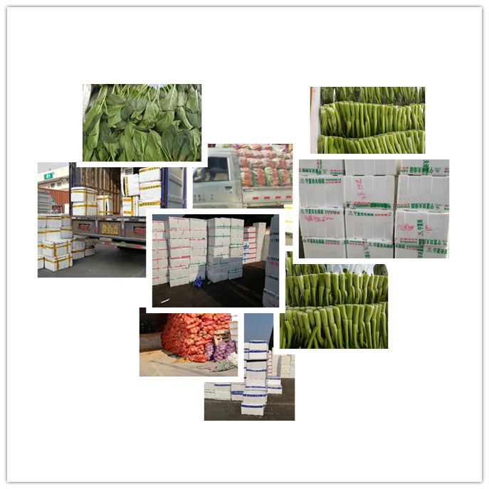 Z6���������ǲ�(�й���)���޹�˾����