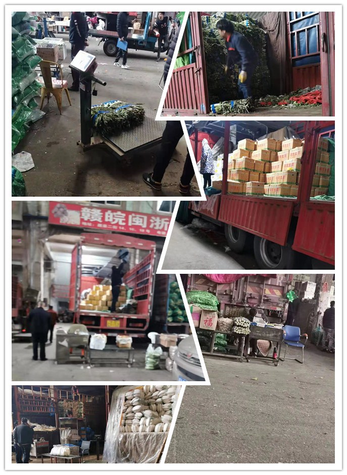 Z6���������ǲ�(�й���)���޹�˾����