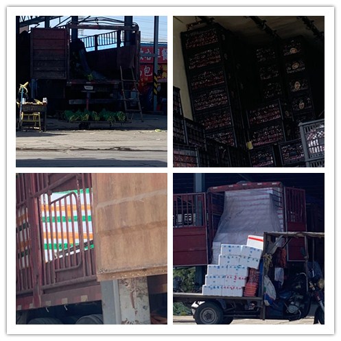 Z6���������ǲ�(�й���)���޹�˾����