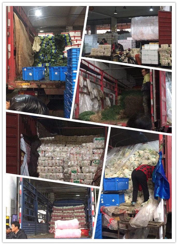 Z6���������ǲ�(�й���)���޹�˾����