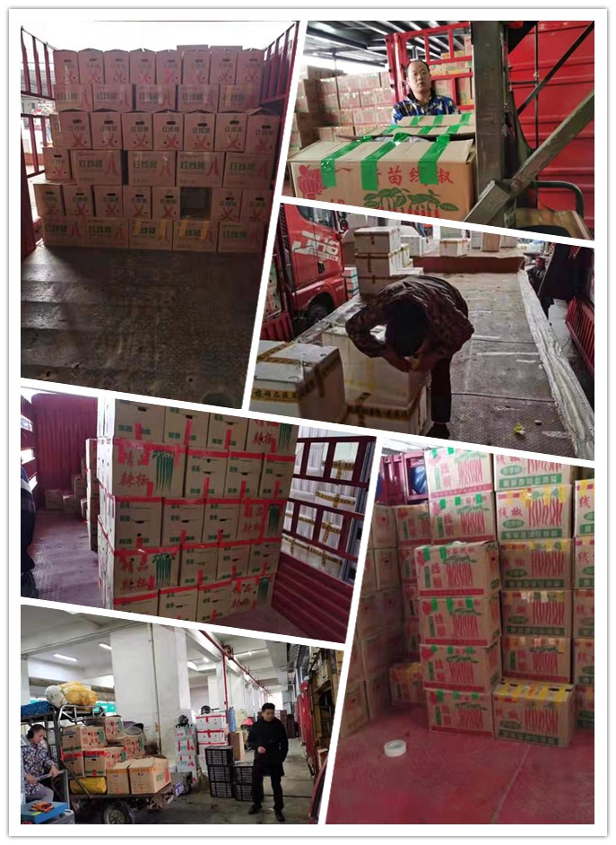 Z6���������ǲ�(�й���)���޹�˾����