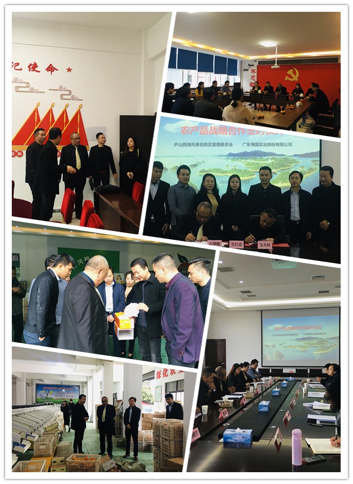 Z6���������ǲ�(�й���)���޹�˾����