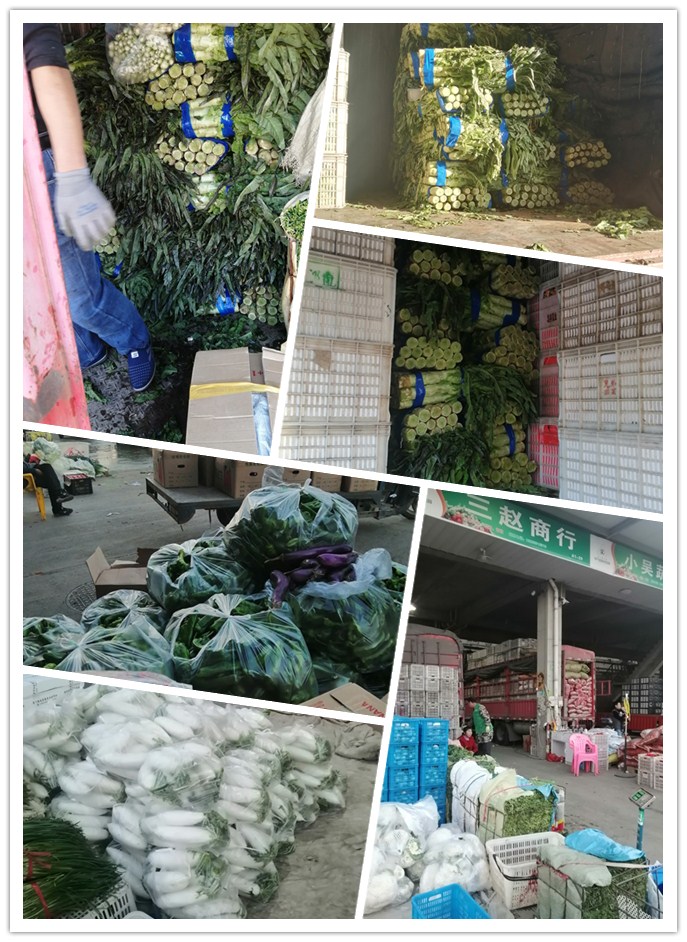 Z6���������ǲ�(�й���)���޹�˾����