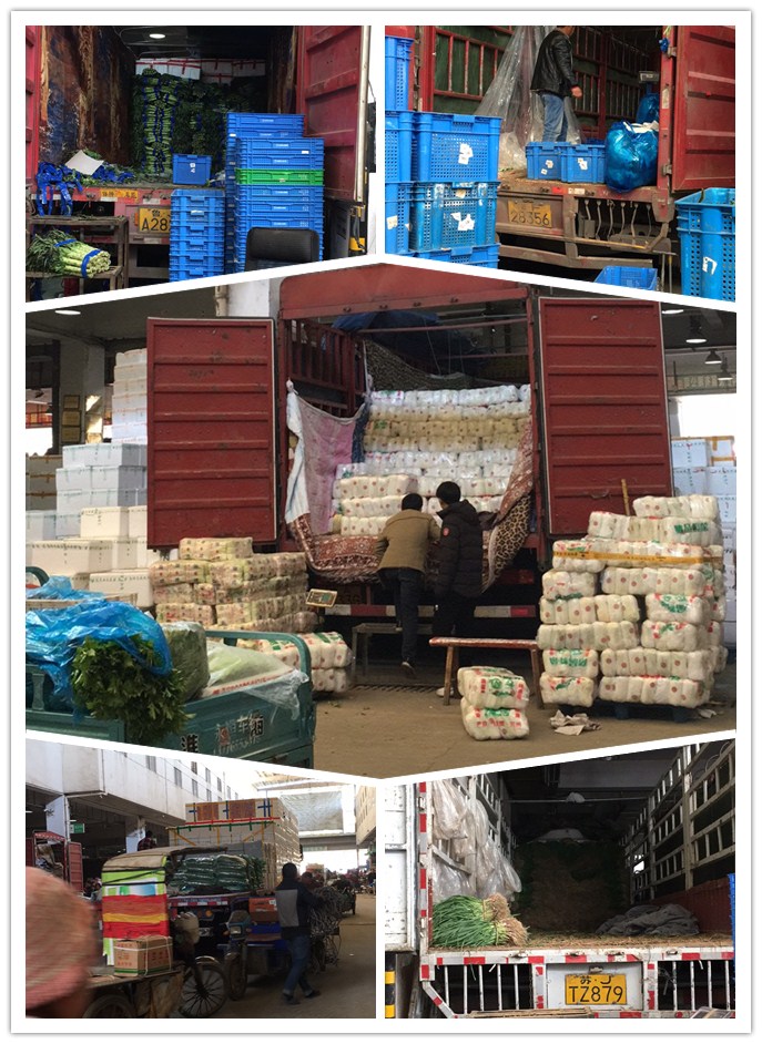 Z6���������ǲ�(�й���)���޹�˾����