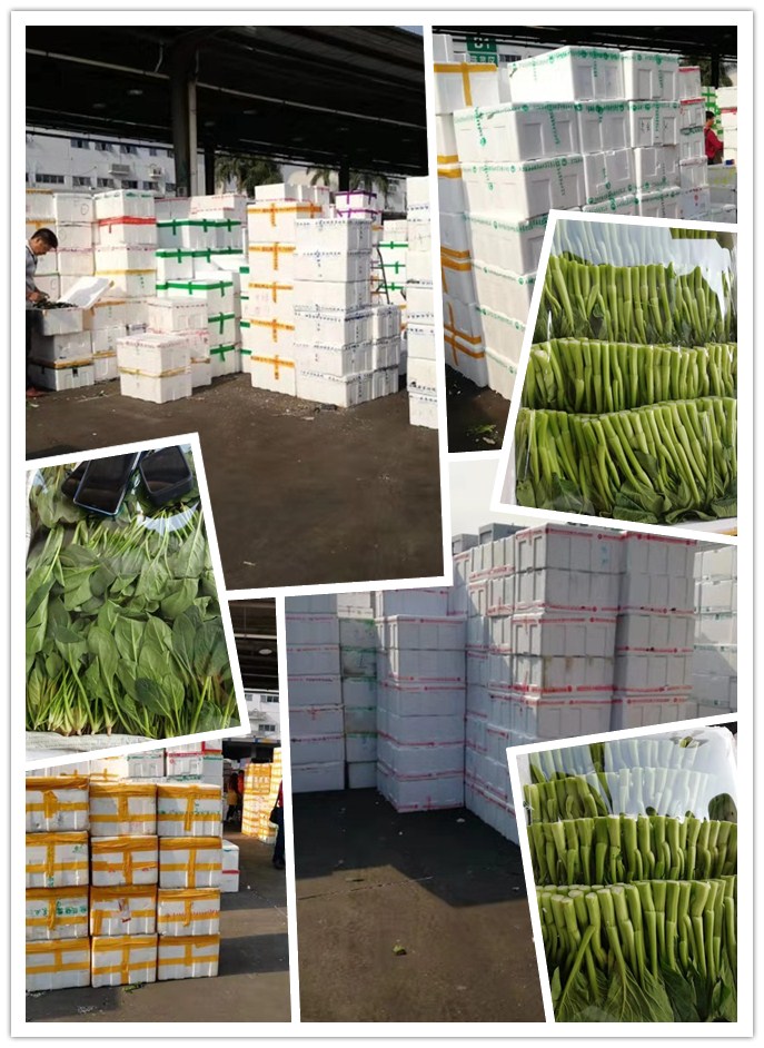 Z6���������ǲ�(�й���)���޹�˾����