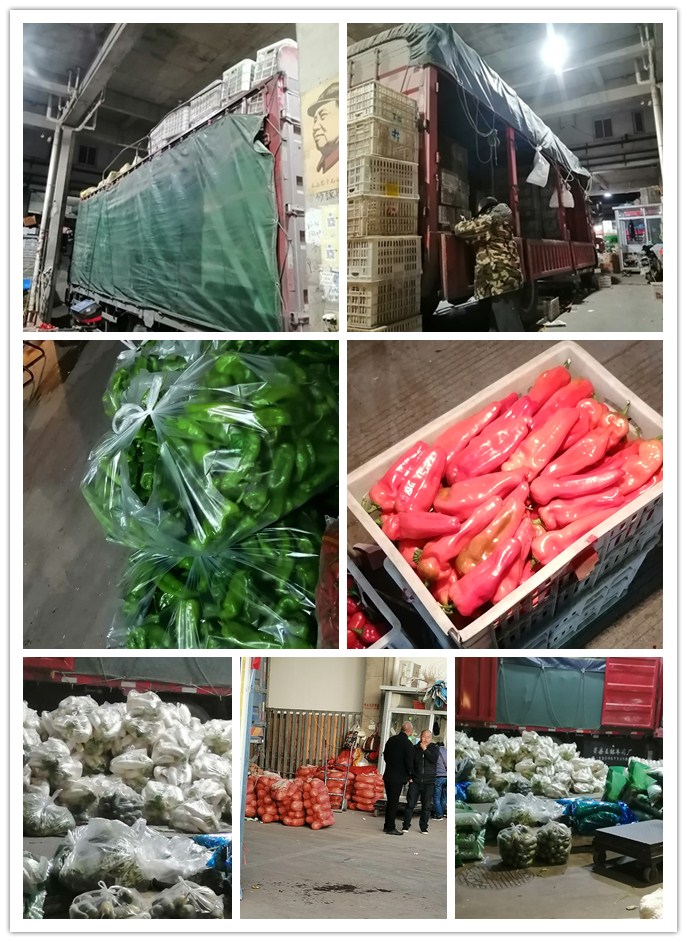 Z6���������ǲ�(�й���)���޹�˾����