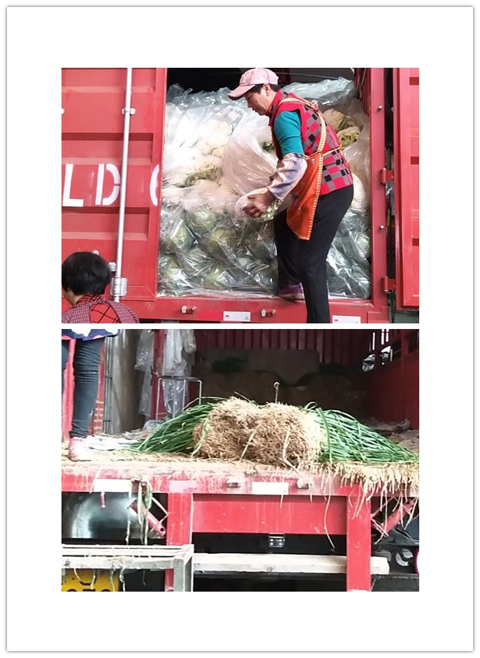 Z6���������ǲ�(�й���)���޹�˾����