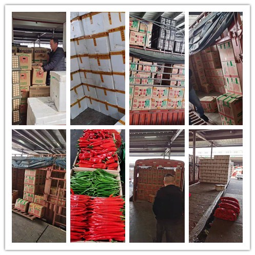 Z6���������ǲ�(�й���)���޹�˾����