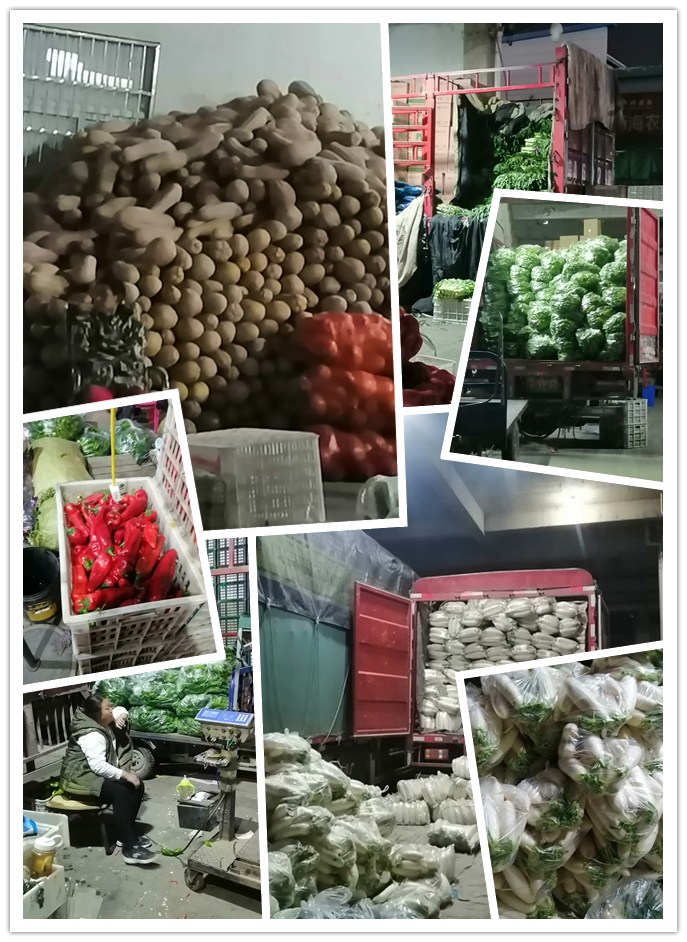 Z6���������ǲ�(�й���)���޹�˾����