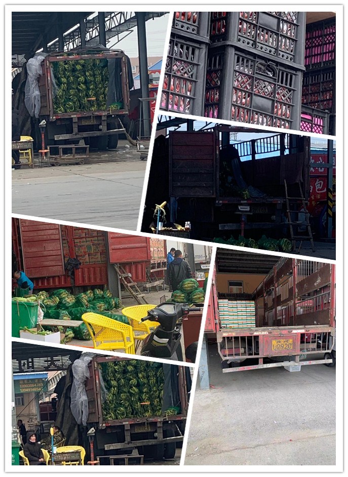 Z6���������ǲ�(�й���)���޹�˾����