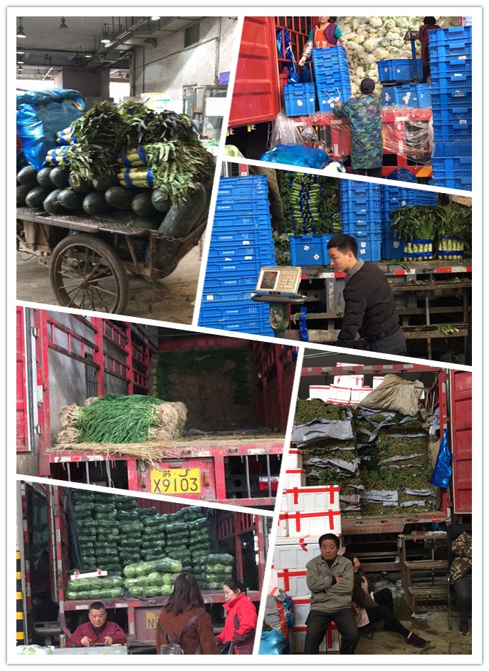 Z6���������ǲ�(�й���)���޹�˾����