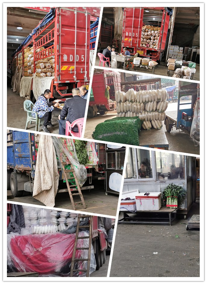 Z6���������ǲ�(�й���)���޹�˾����