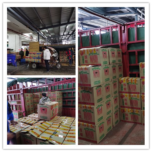 Z6���������ǲ�(�й���)���޹�˾����