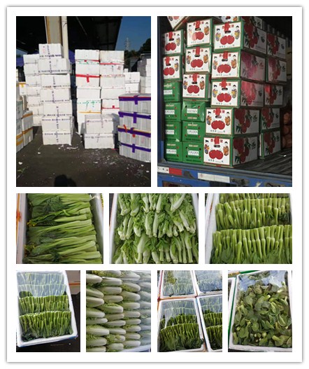 Z6���������ǲ�(�й���)���޹�˾����