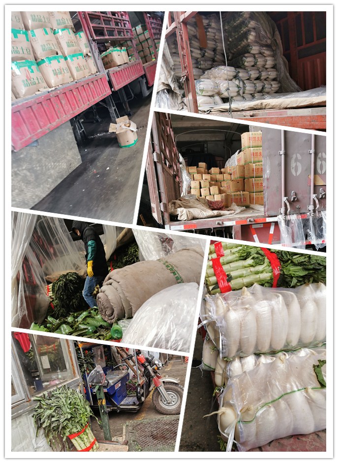 Z6���������ǲ�(�й���)���޹�˾����