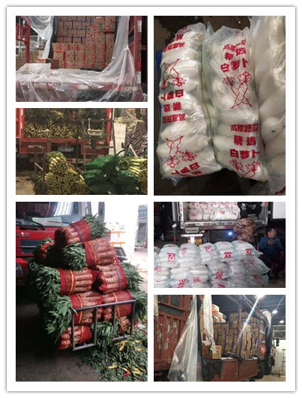 Z6���������ǲ�(�й���)���޹�˾����