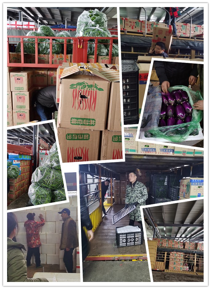 Z6���������ǲ�(�й���)���޹�˾����