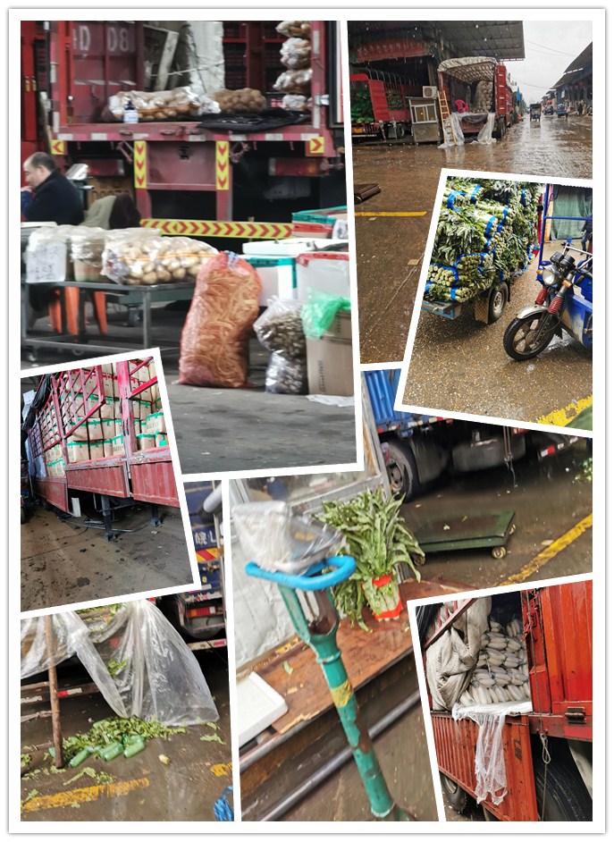 Z6���������ǲ�(�й���)���޹�˾����