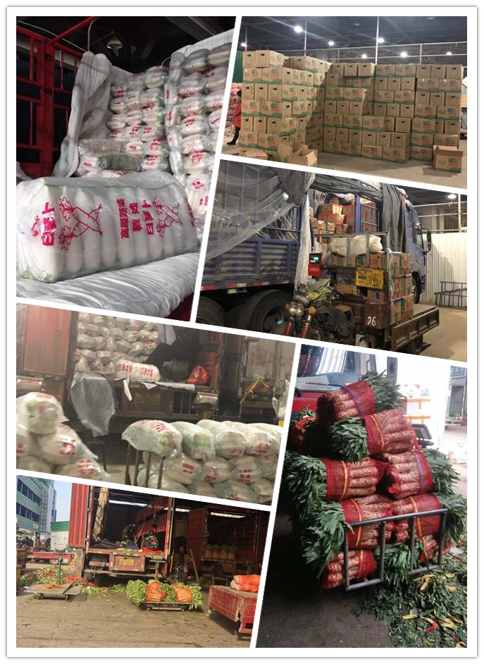 Z6���������ǲ�(�й���)���޹�˾����