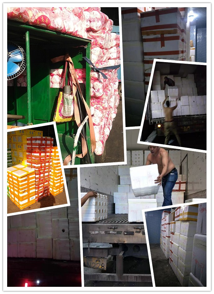 Z6���������ǲ�(�й���)���޹�˾����