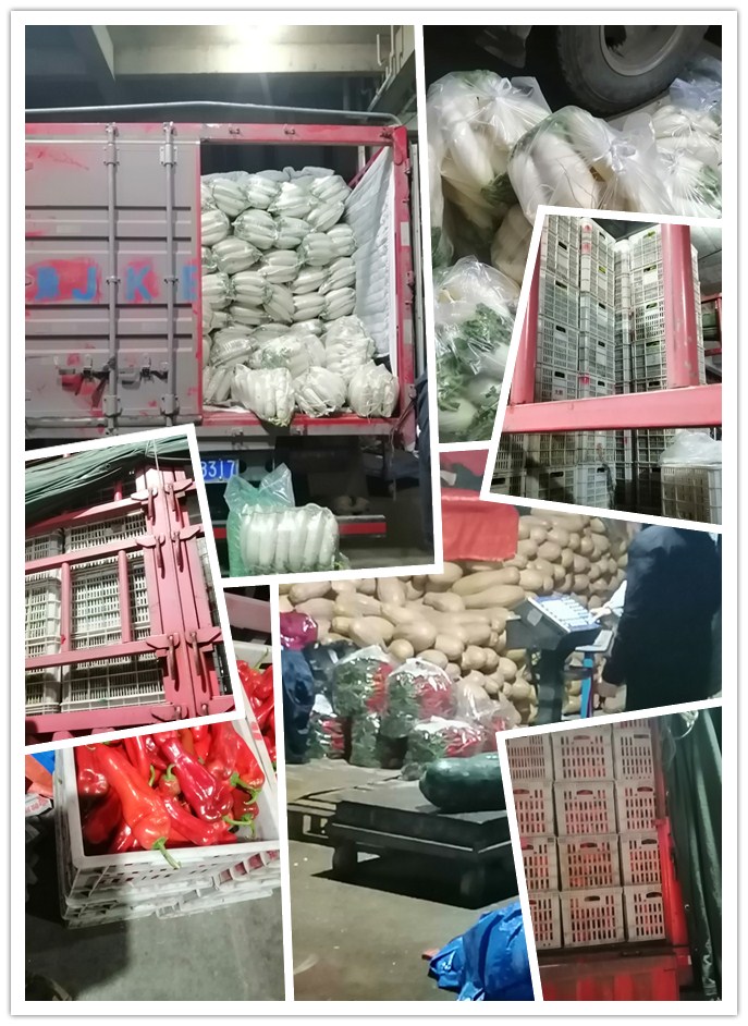 Z6���������ǲ�(�й���)���޹�˾����