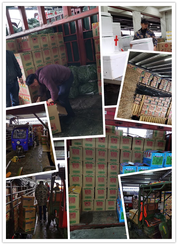 Z6���������ǲ�(�й���)���޹�˾����