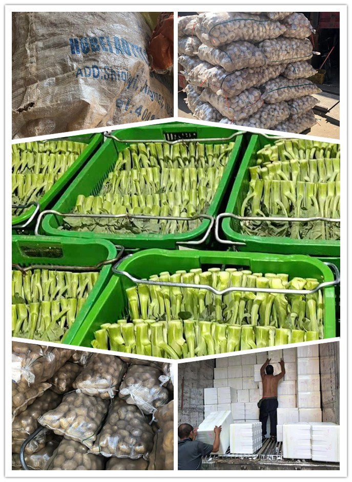 Z6���������ǲ�(�й���)���޹�˾����