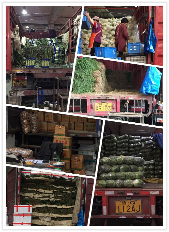 Z6���������ǲ�(�й���)���޹�˾����