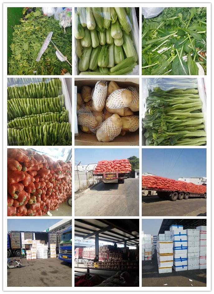 Z6���������ǲ�(�й���)���޹�˾����