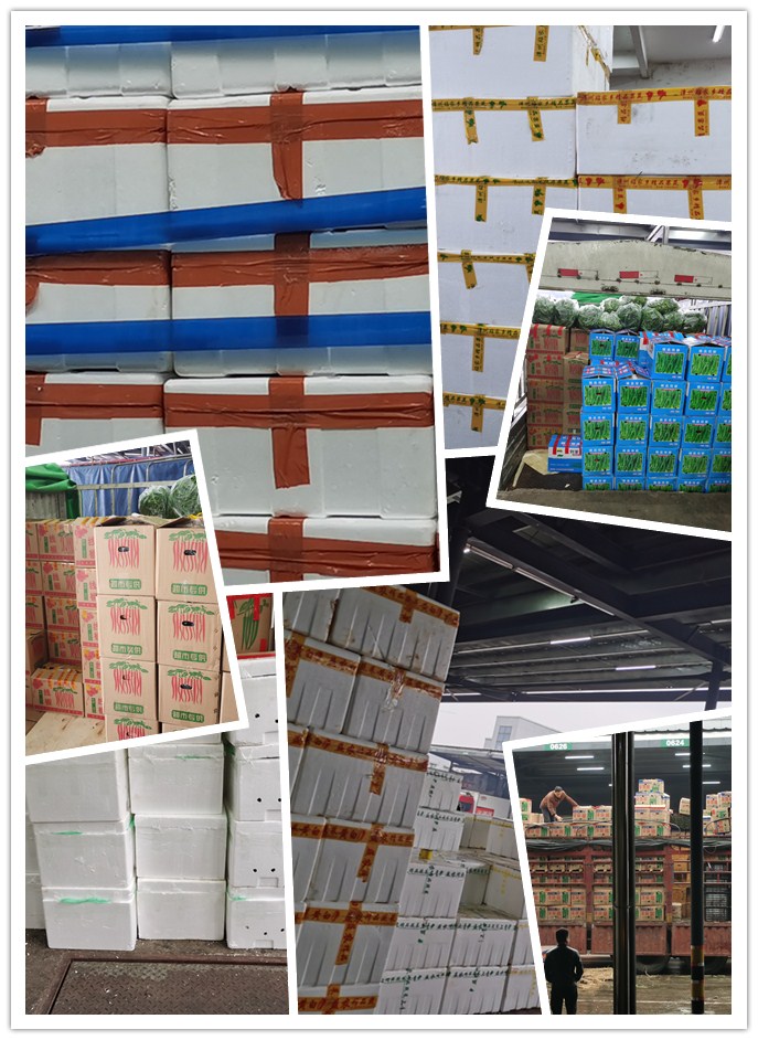 Z6���������ǲ�(�й���)���޹�˾����