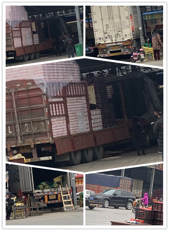 Z6���������ǲ�(�й���)���޹�˾����