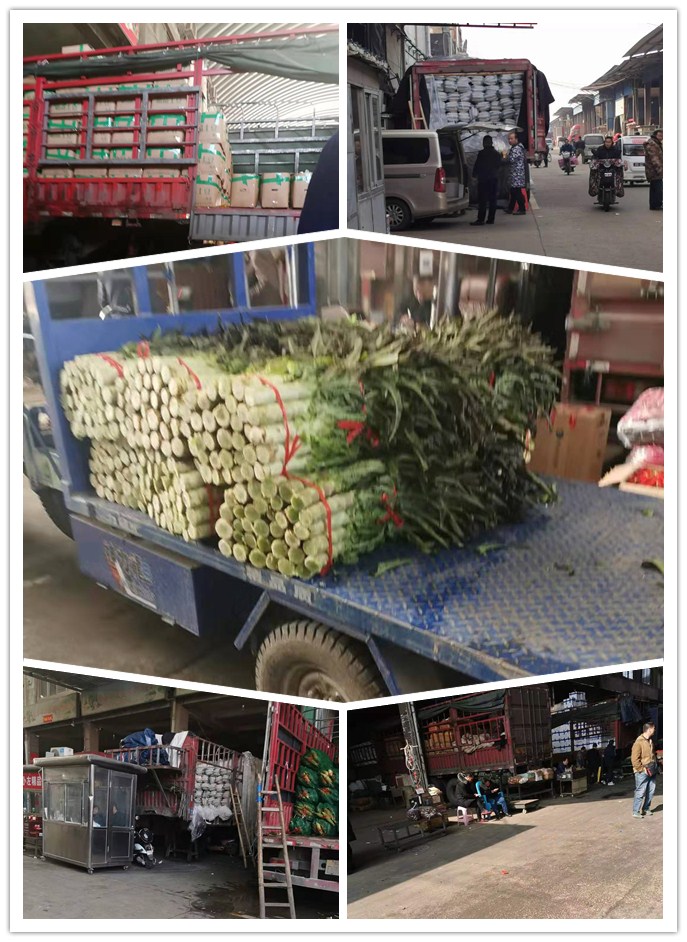 Z6���������ǲ�(�й���)���޹�˾����