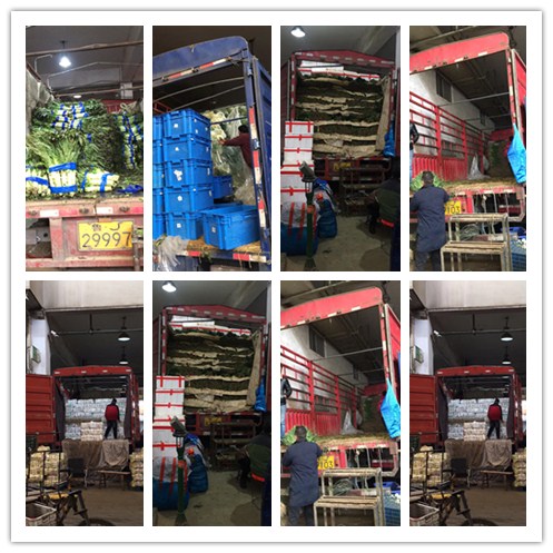 Z6���������ǲ�(�й���)���޹�˾����