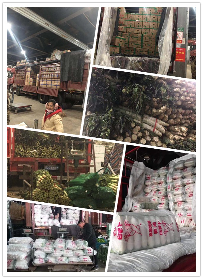 Z6���������ǲ�(�й���)���޹�˾����