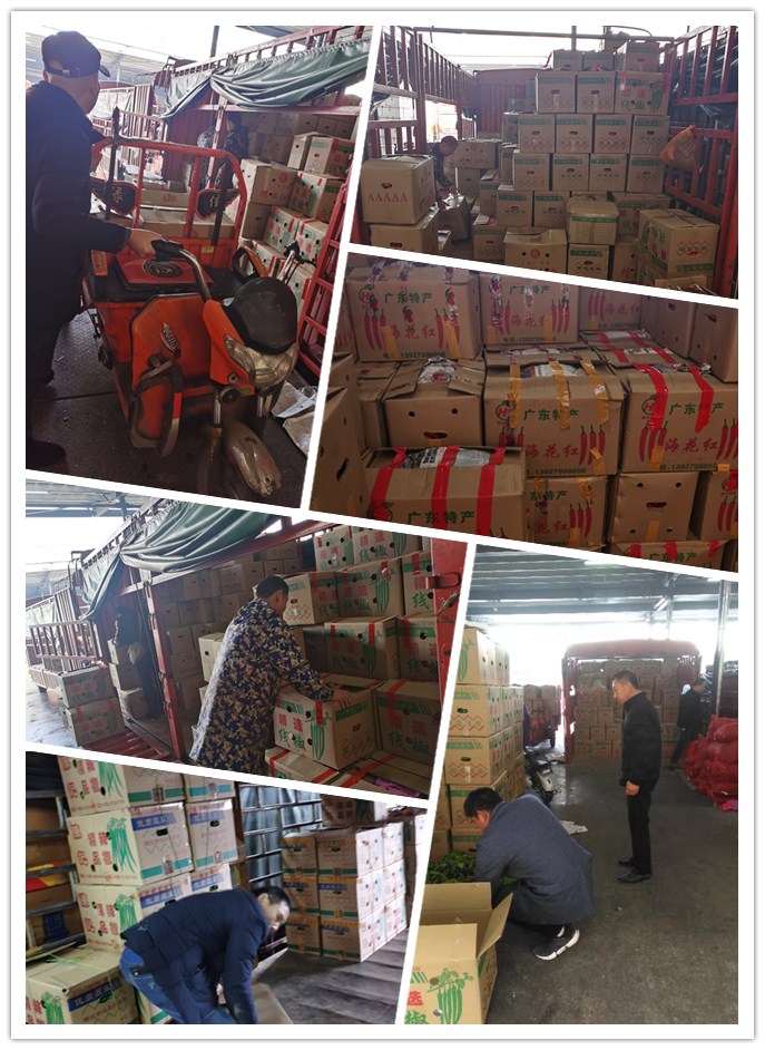 Z6���������ǲ�(�й���)���޹�˾����