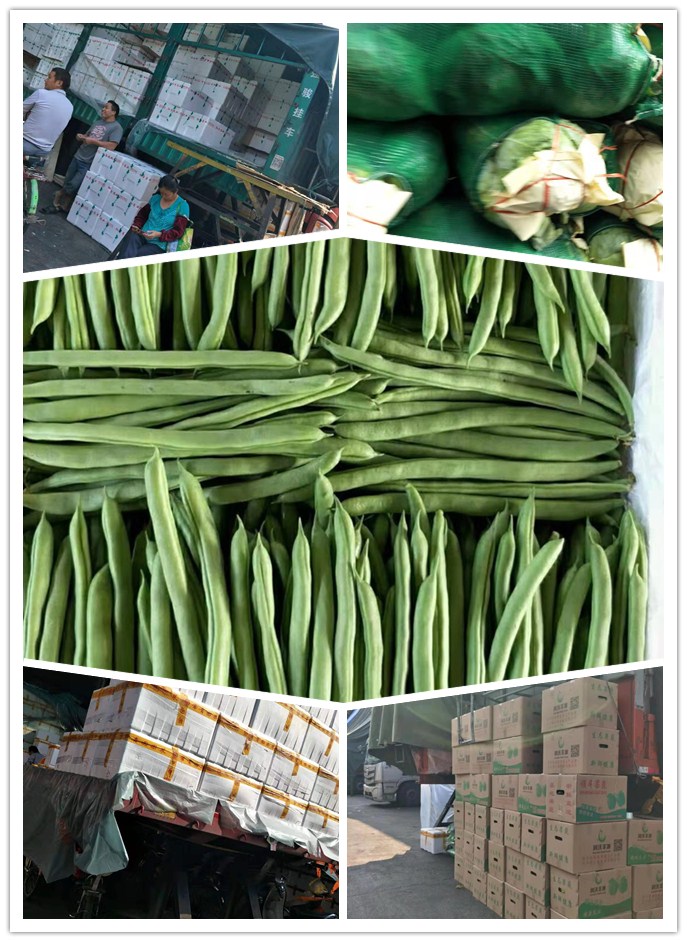 Z6���������ǲ�(�й���)���޹�˾����