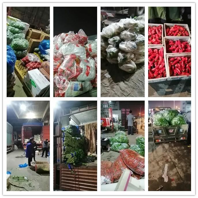 Z6���������ǲ�(�й���)���޹�˾����